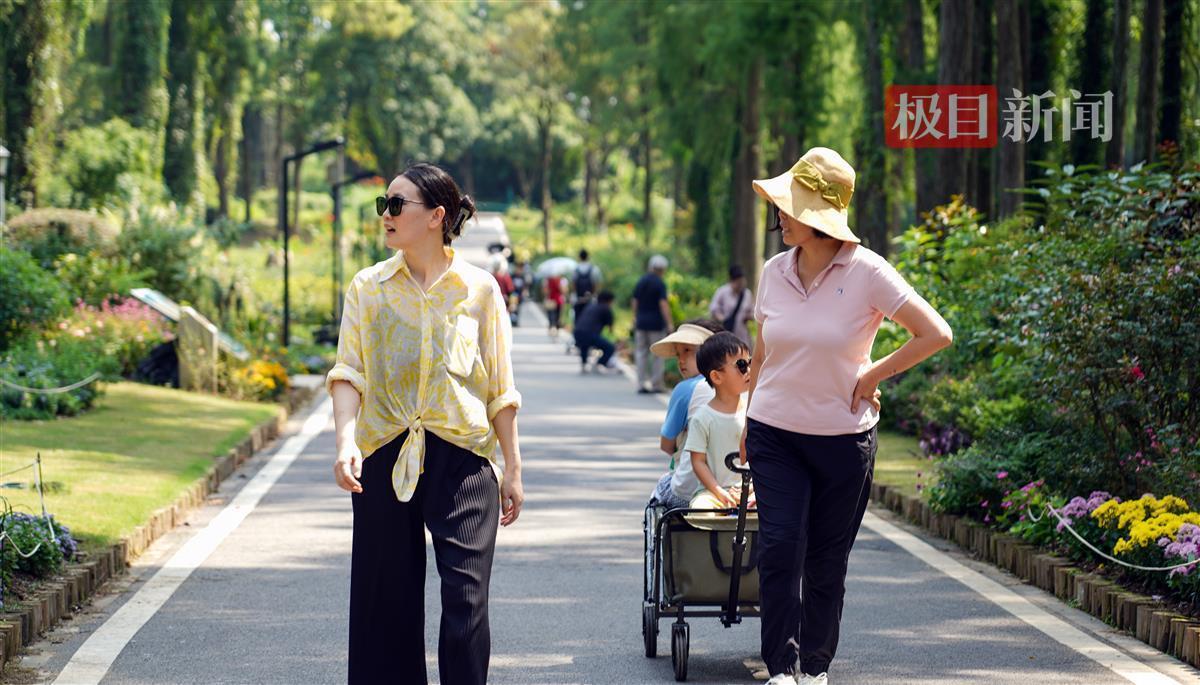 九卅娱乐10年玩家信誉